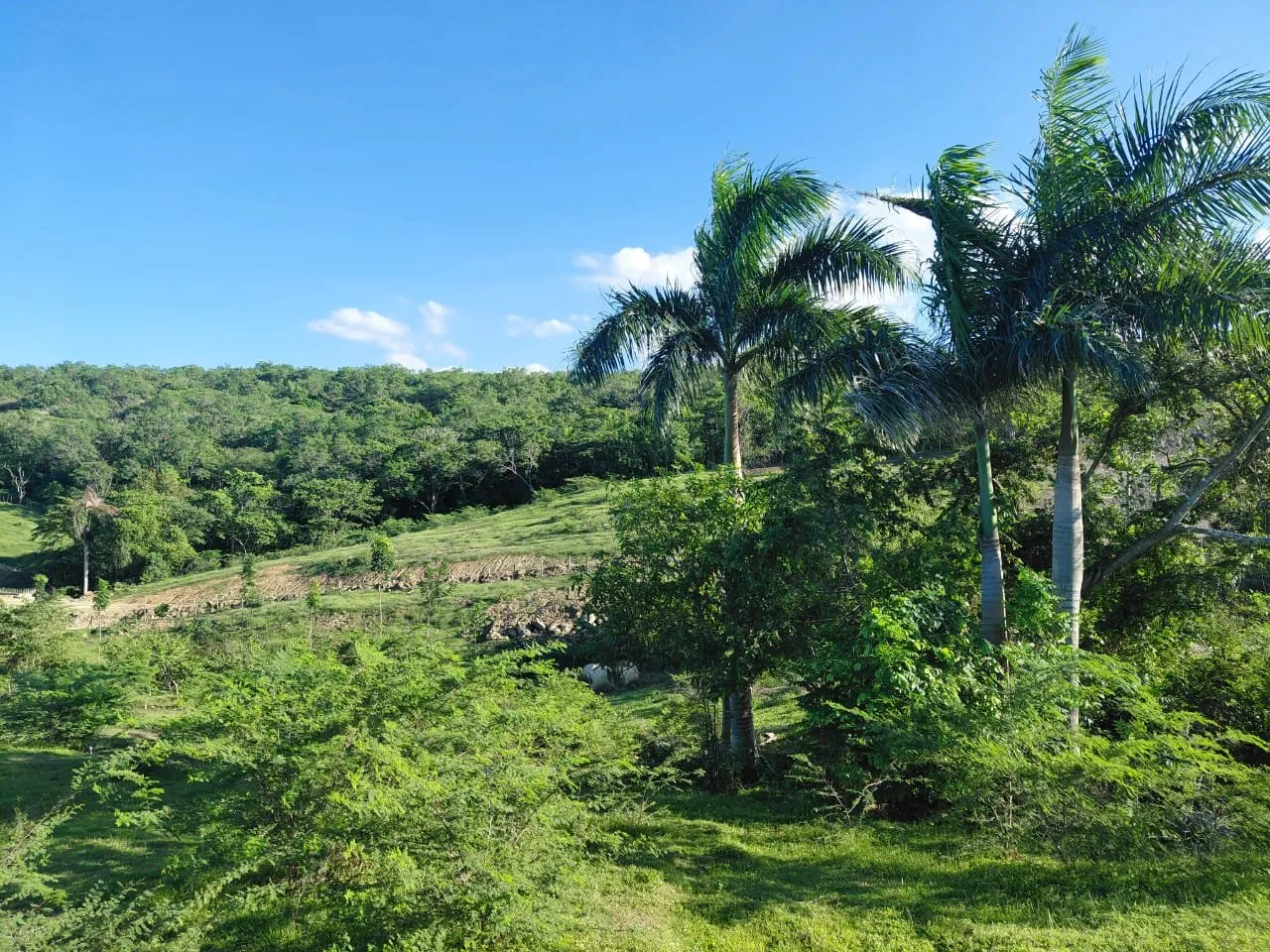 Altos de Bergantín – Terrenos Residenciales en Puerto Plata, foto 3