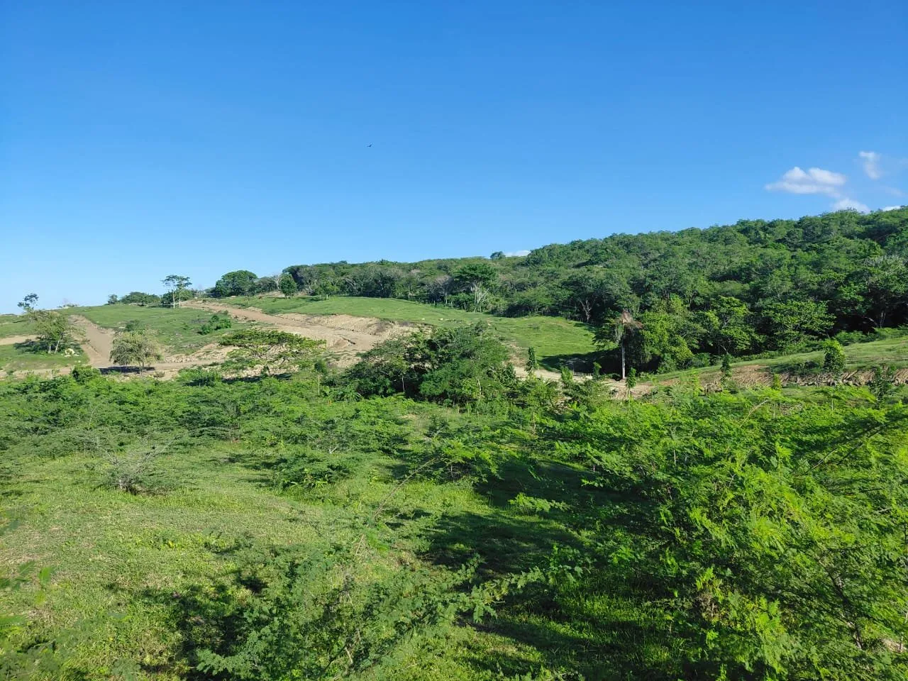 Altos de Bergantín – Terrenos Residenciales en Puerto Plata, foto 4