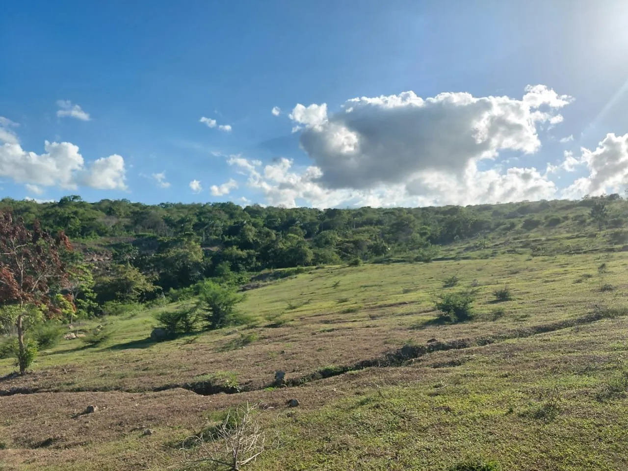 Altos de Bergantín – Terrenos Residenciales en Puerto Plata, foto 10