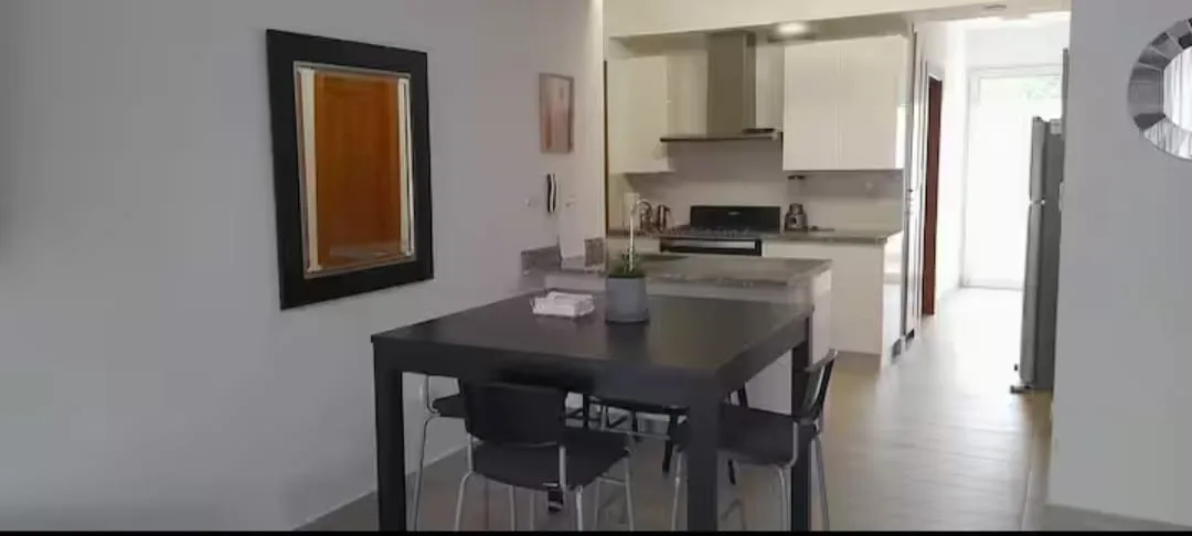 Apartamento en Santiago de los Caballeros, foto 11