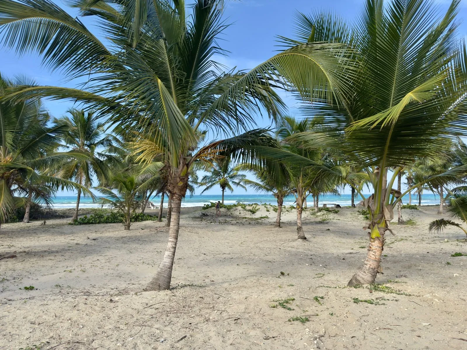 Beachfront Duplex Home – Boca de Veragua, foto 14