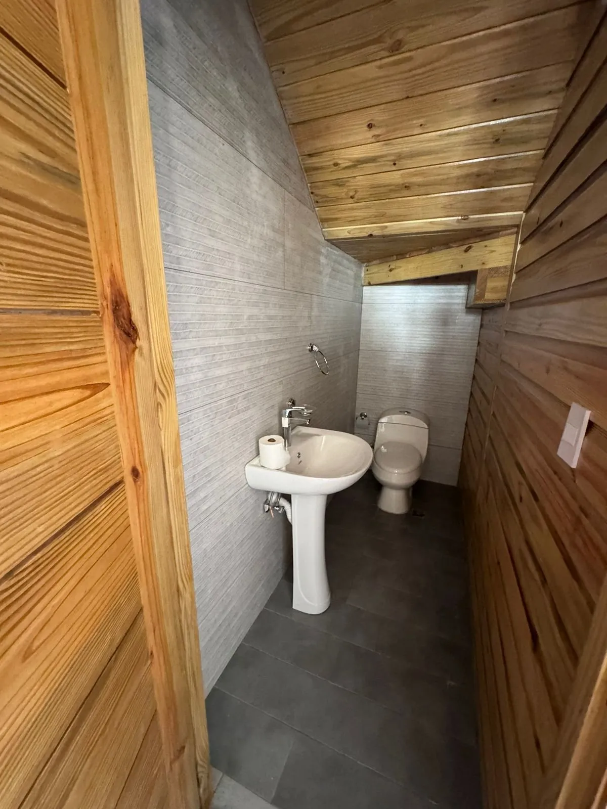 Exclusiva Villa en Jarabacoa con Áreas Sociales y Picuzzi, foto 10