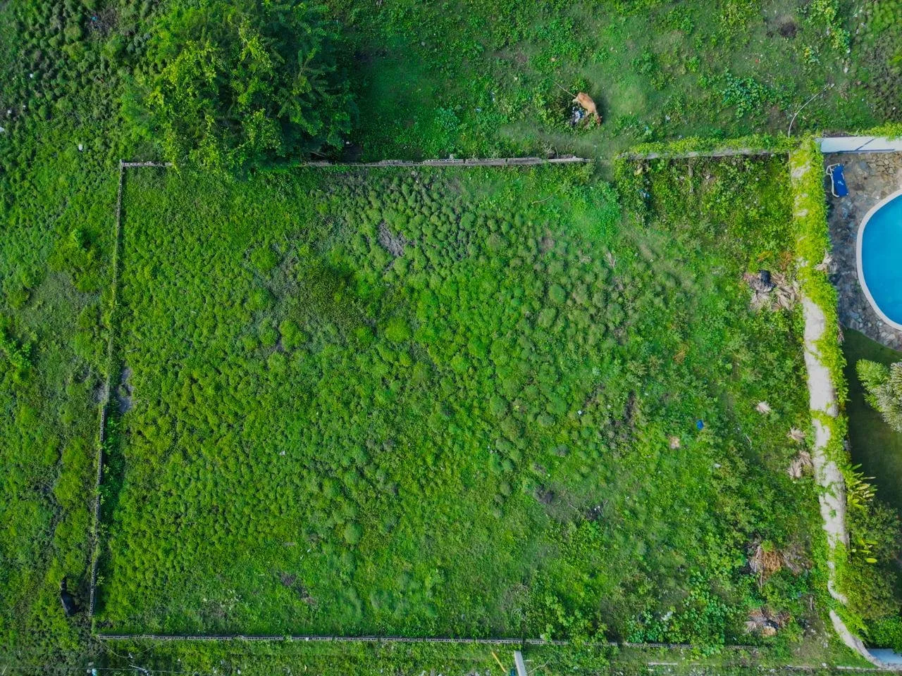 Terreno en Venta en Montellano – Gran Oportunidad de Inversión, foto 2