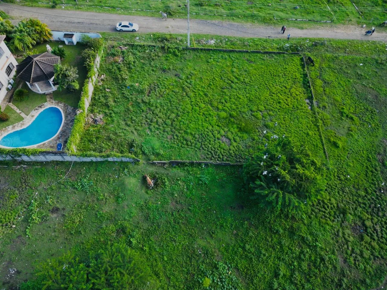 Terreno en Venta en Montellano – Gran Oportunidad de Inversión, foto 4