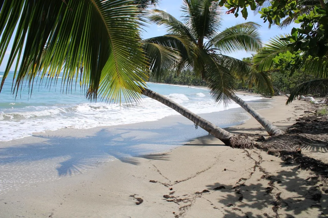 Terreno Extraordinario en Primera Línea de Playa – Ideal para Desarrollo Turístico., foto 2