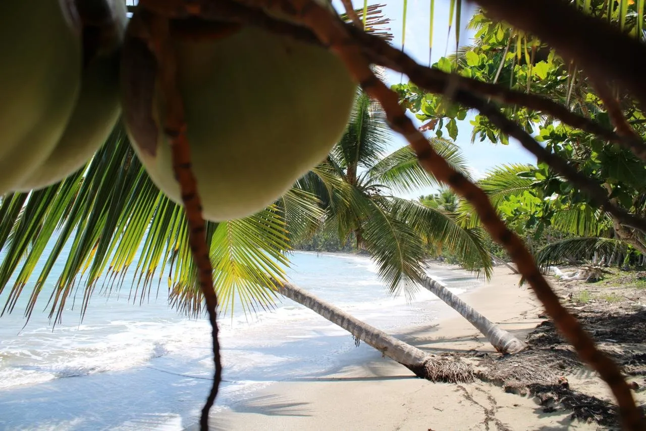 Terreno Extraordinario en Primera Línea de Playa – Ideal para Desarrollo Turístico., foto 3