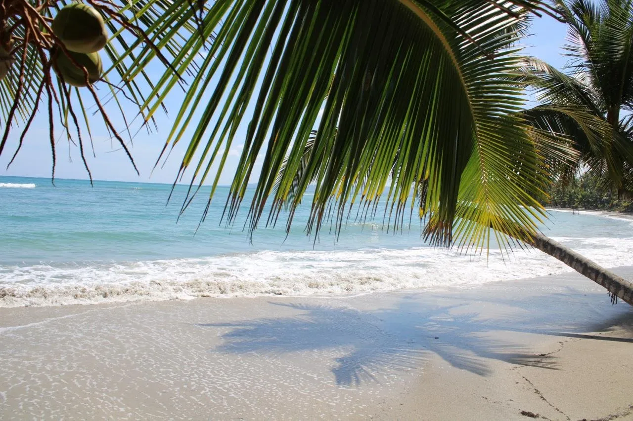 Terreno Extraordinario en Primera Línea de Playa – Ideal para Desarrollo Turístico., foto 4