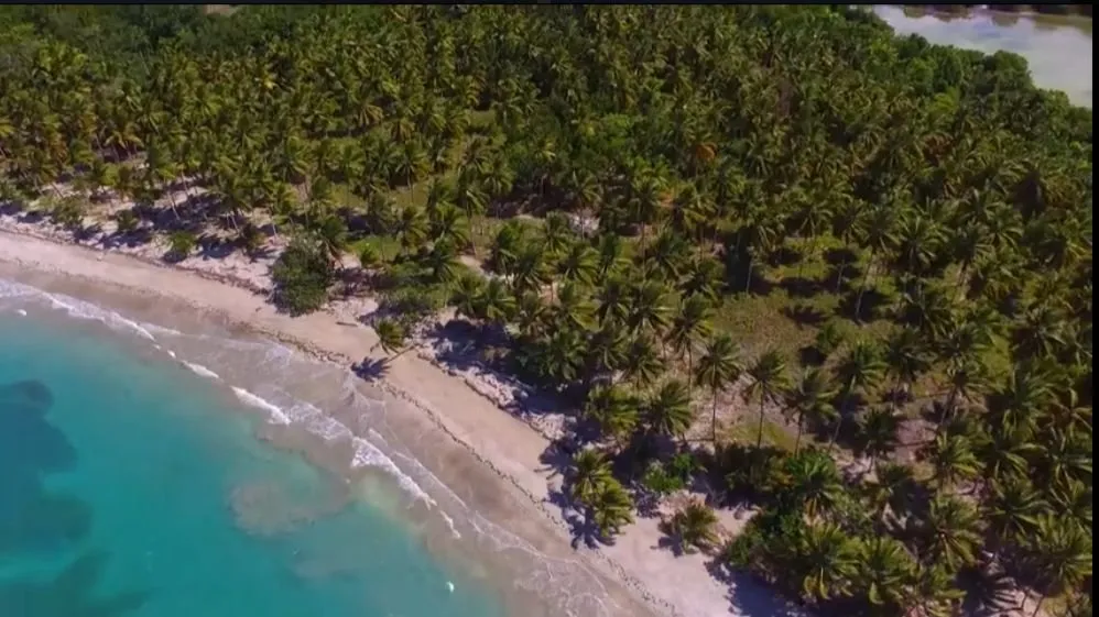 Terreno Extraordinario en Primera Línea de Playa – Ideal para Desarrollo Turístico., foto 5