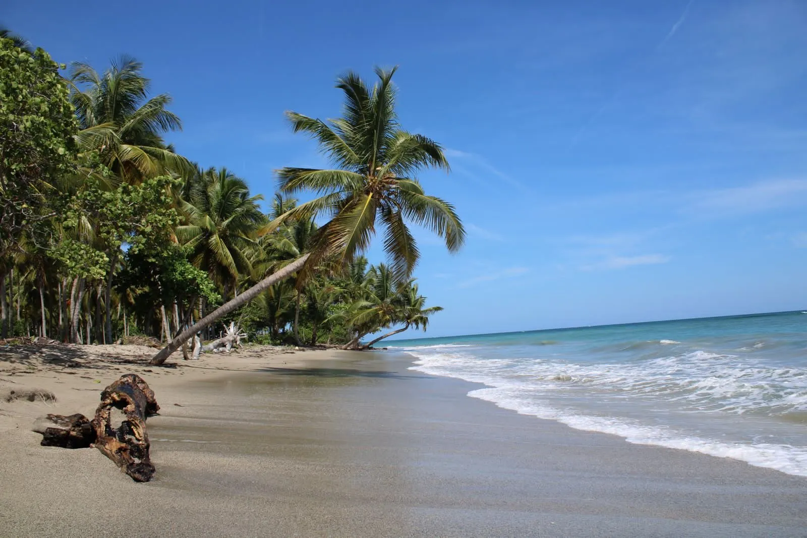 Terreno Extraordinario en Primera Línea de Playa – Ideal para Desarrollo Turístico., foto 6