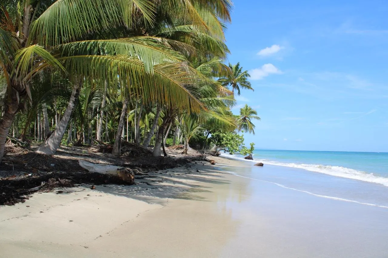 Terreno Extraordinario en Primera Línea de Playa – Ideal para Desarrollo Turístico., foto 8