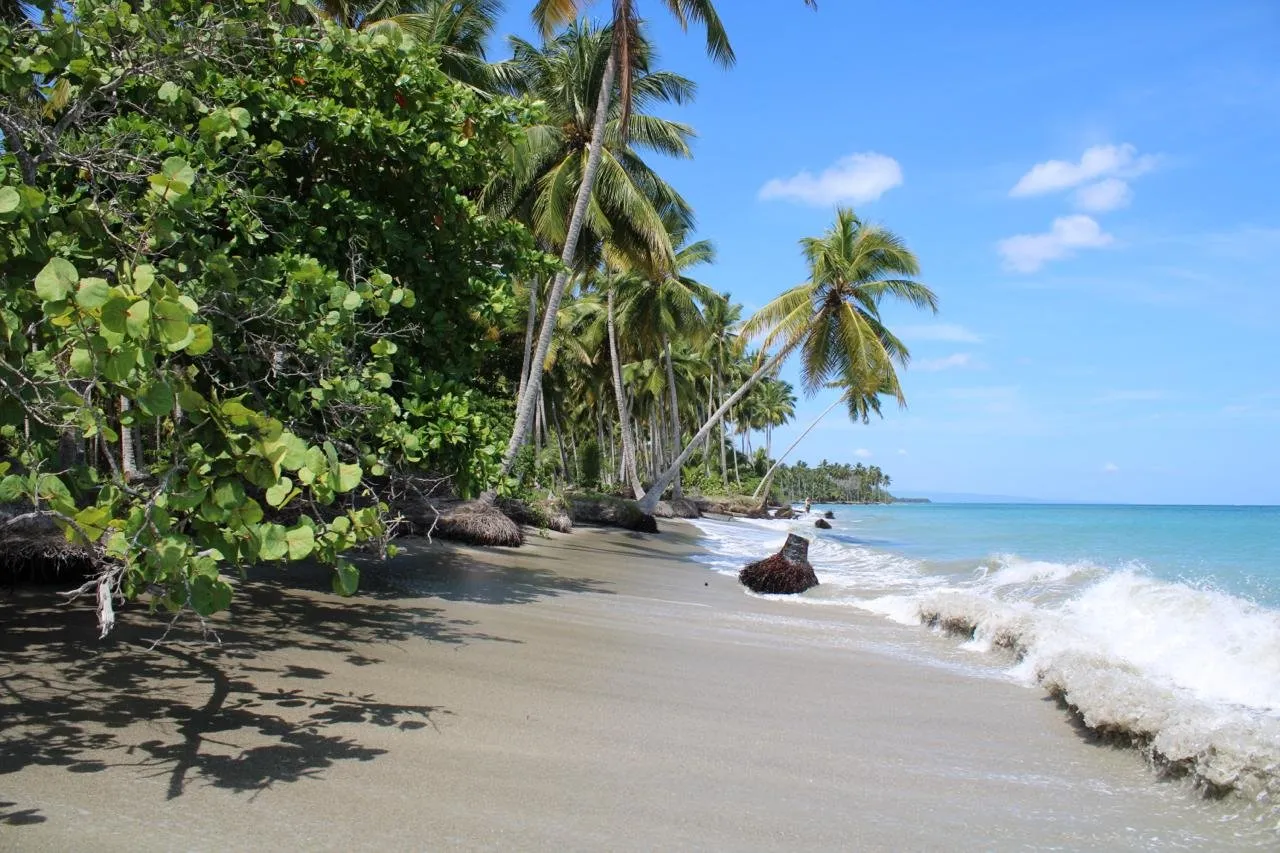 Terreno Extraordinario en Primera Línea de Playa – Ideal para Desarrollo Turístico., foto 11