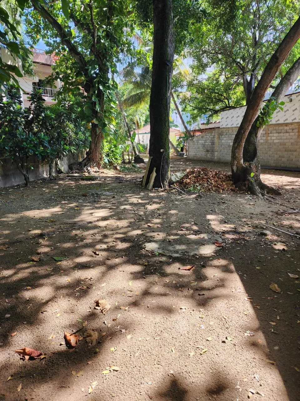 Terreno Frente al Mar en Cabarete Centro, foto 7