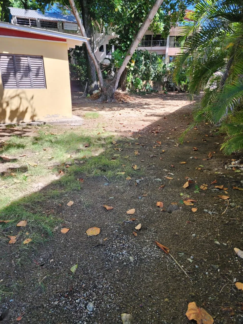 Terreno Frente al Mar en Cabarete Centro, foto 8