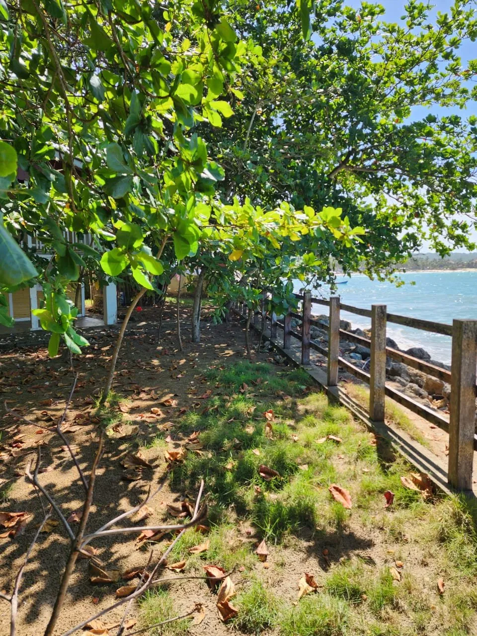 Terreno Frente al Mar en Cabarete Centro, foto 10