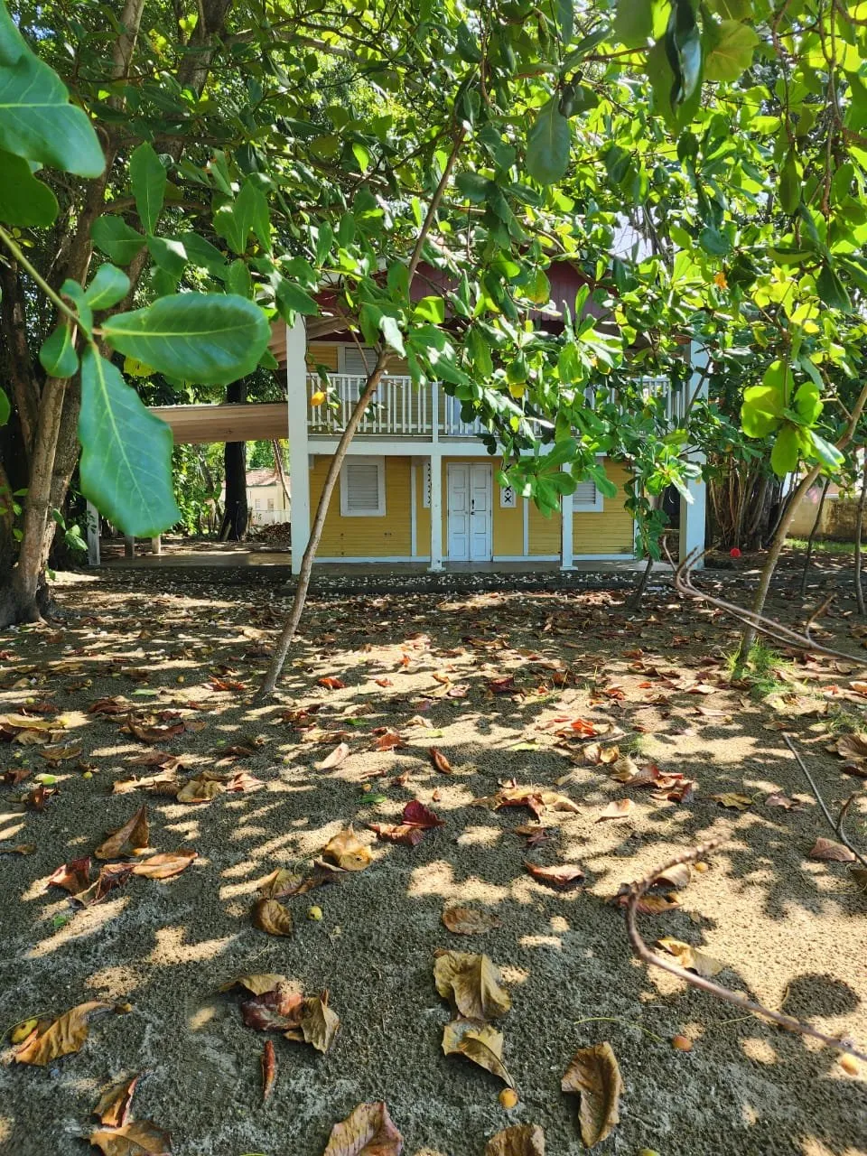 Terreno Frente al Mar en Cabarete Centro, foto 11