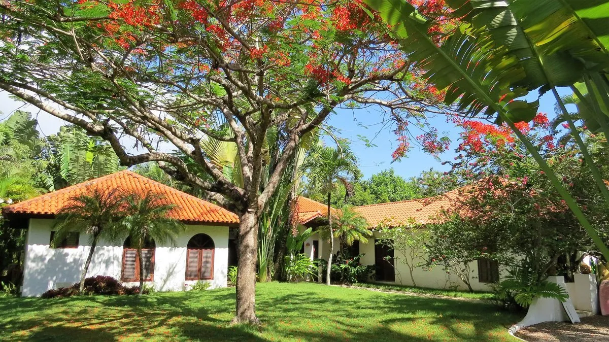 Villa Coralina: encanto caribeño con vista al mar en Sea Horse Ranch, foto 6